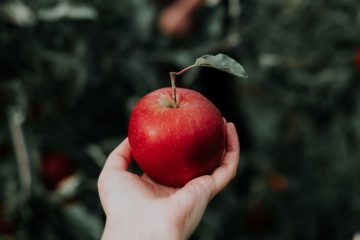 Nutricionistas esclarecem se a sensação de fome aumenta após o consumo de maçã.