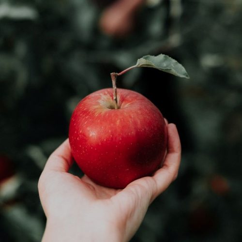 Nutricionistas esclarecem se a sensação de fome aumenta após o consumo de maçã.